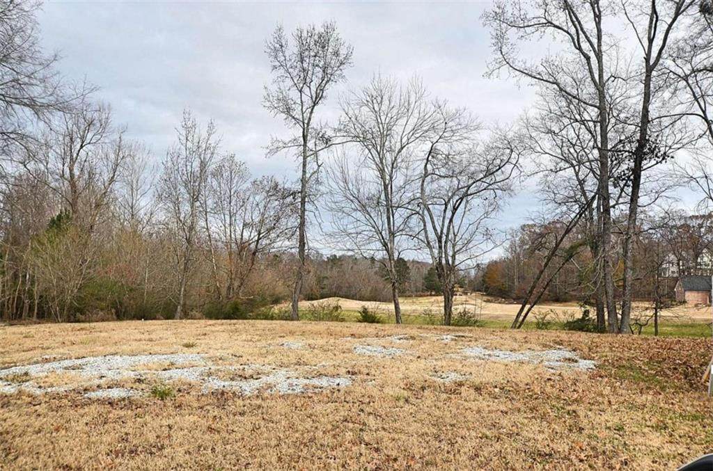 2241 Pear Grove Court - Photo 1