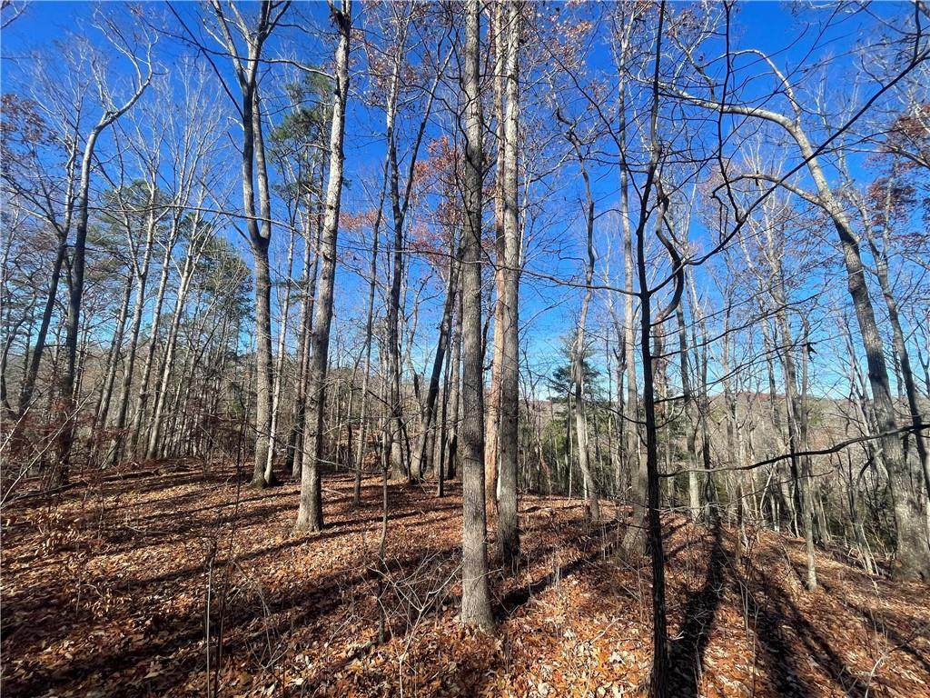 6.51ac Vandiviere Road - Photo 1