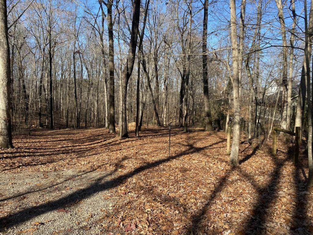 3685 B Pollys Bluff - Photo 1