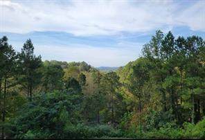 0 Mountain Ridge - Photo 1