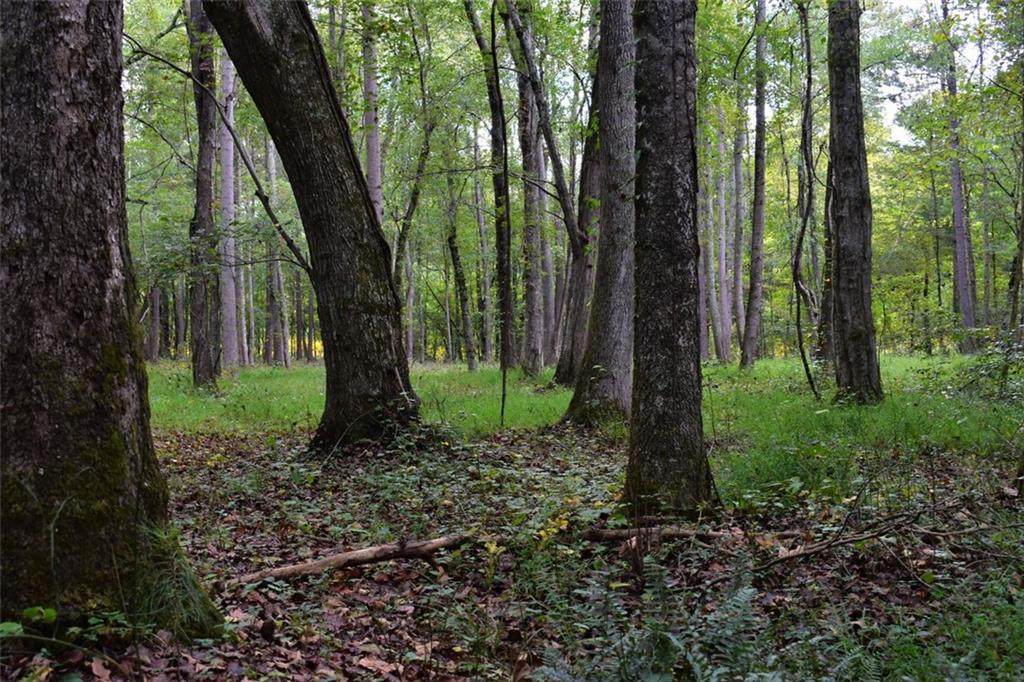 0 Cartersville Lot#1 Highway - Photo 1