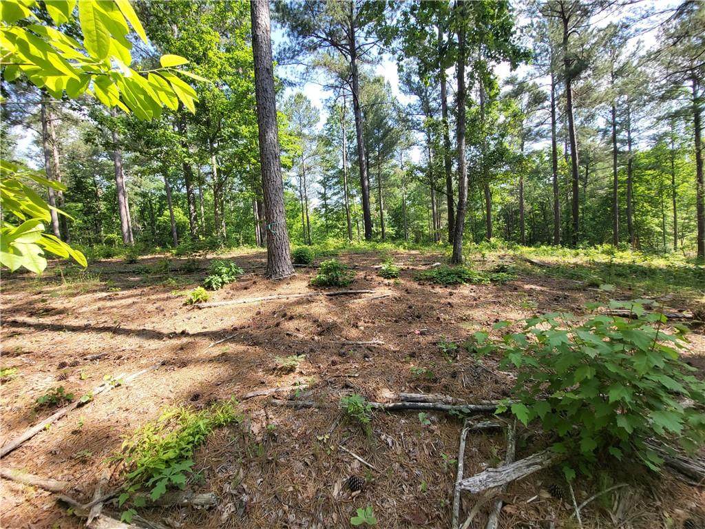0 River Highlands Road - Photo 1