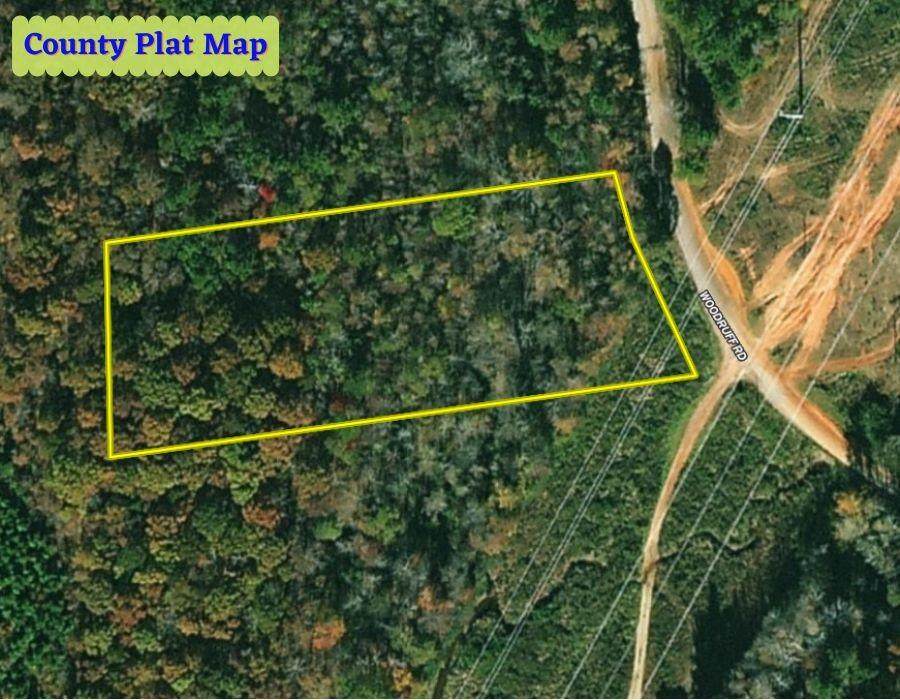 675 Woodruff Road - Photo 1