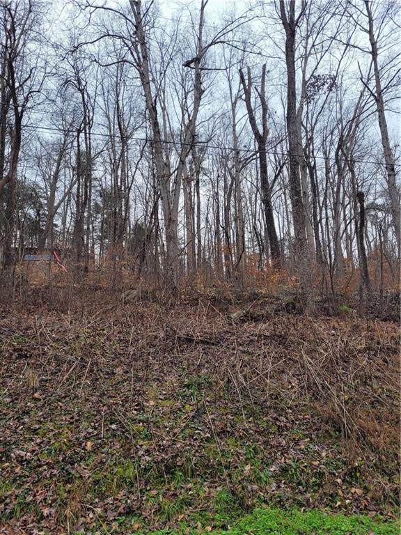 0 Old Still Trail - Photo 1