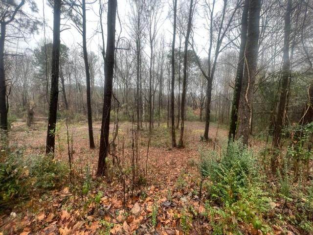 104 Indian Lake Drive - Photo 1
