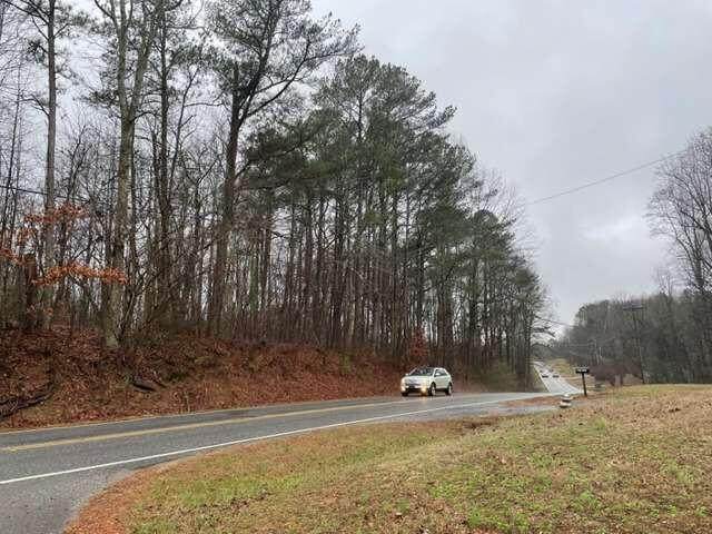 2831 Highway 53 - Photo 1