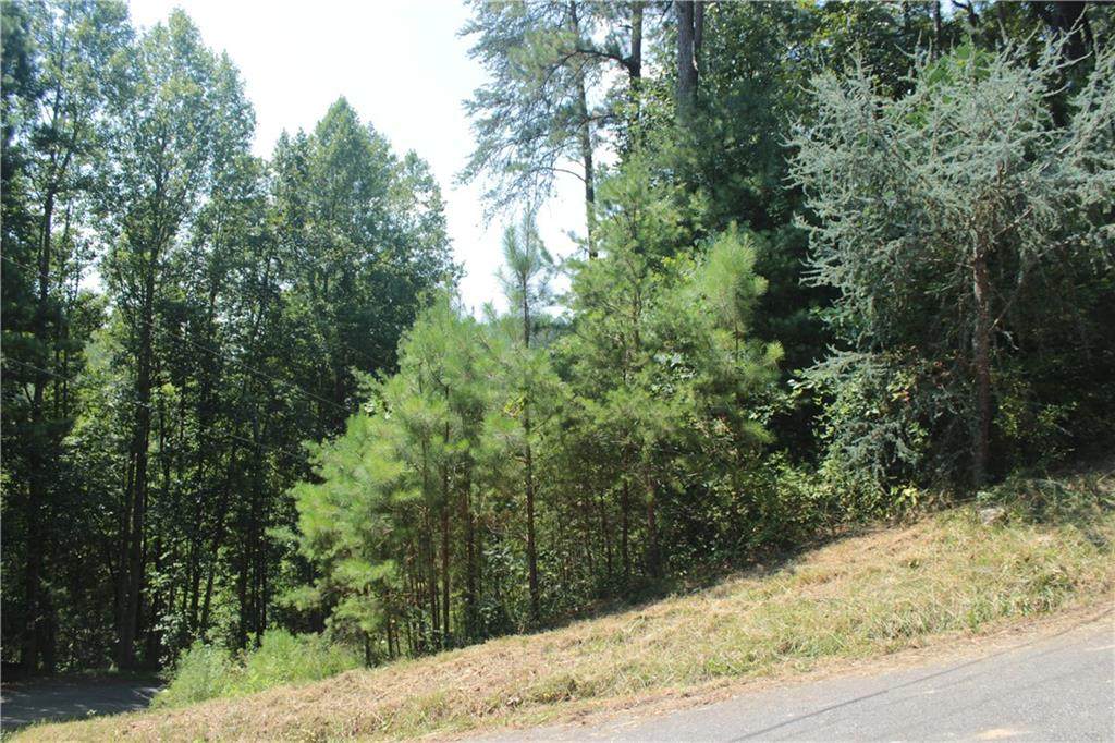 808 Nettle Lane - Photo 1