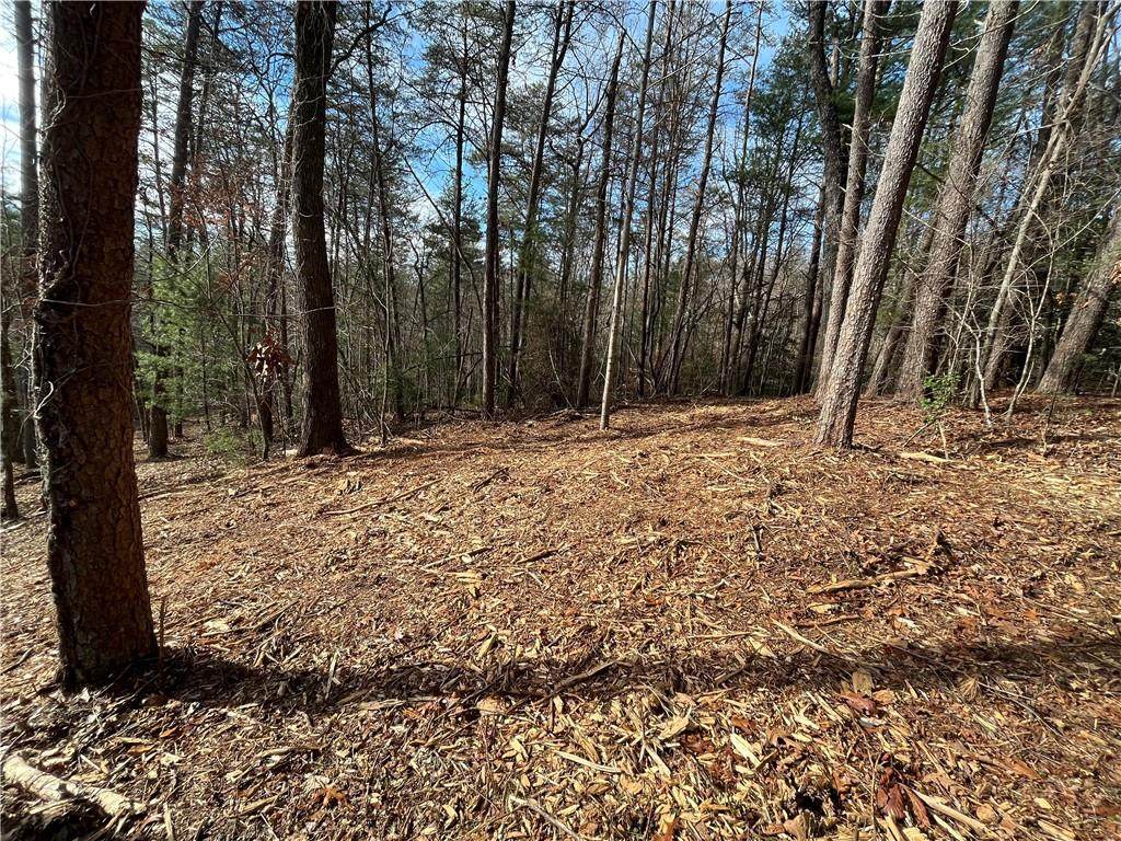 Lot 52 Via Arentina - Photo 1