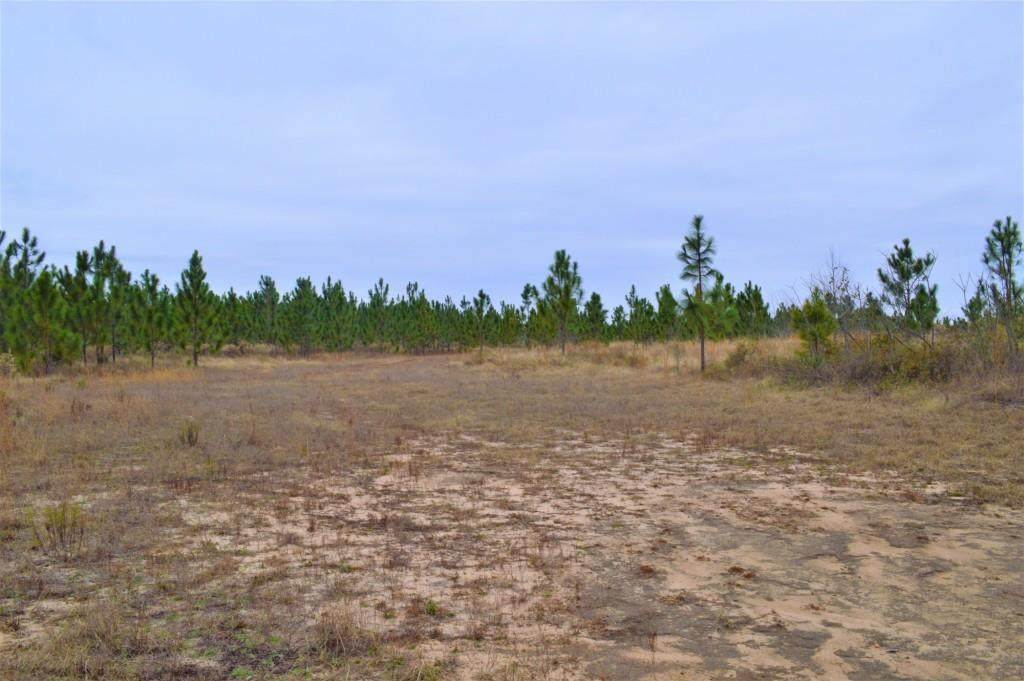 0 Ragtown Road - Photo 1