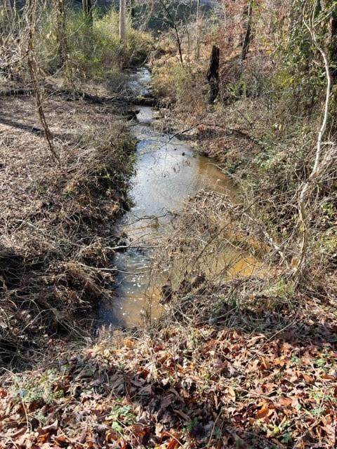 141 Old Villa Rica Road - Photo 1