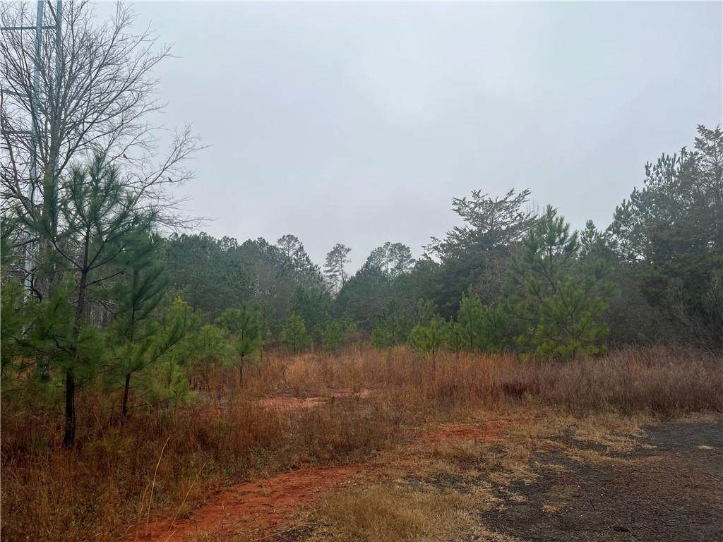 0 Boxankle Road - Photo 1