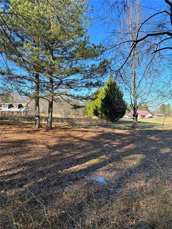 0 Paynes Lake Road - Photo 1
