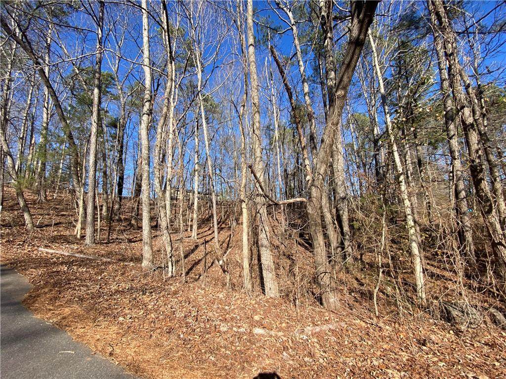 34 Alisha Circle - Photo 1
