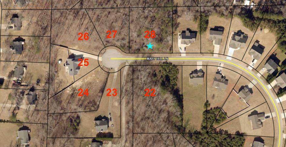 456 Mary Hill Lane - Photo 1