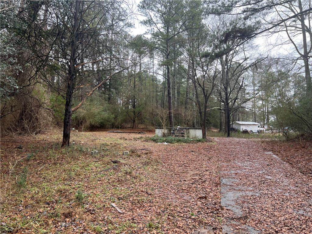 2554 Winding Lake Trail - Photo 1