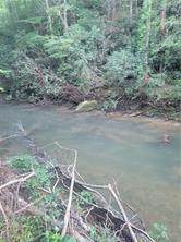0 Tom Bell Odom Road - Photo 1