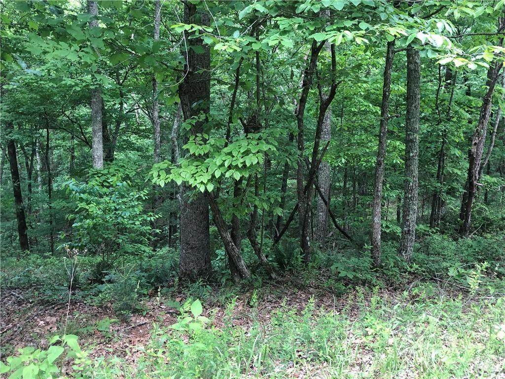 1720 Rebekah Ridge Road - Photo 1