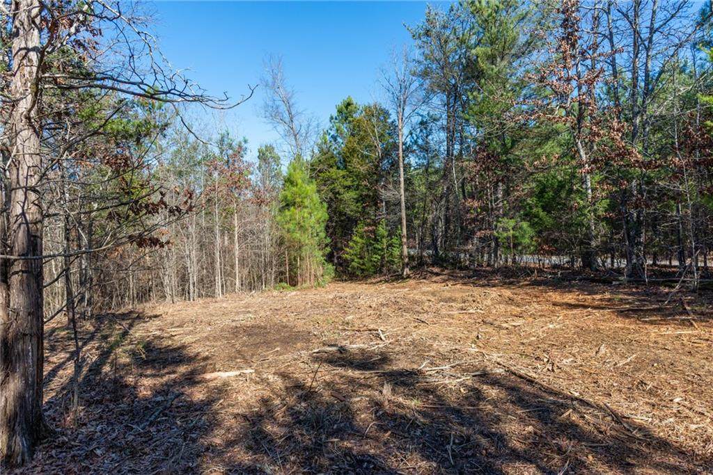 796 Russell Hill Road - Photo 1