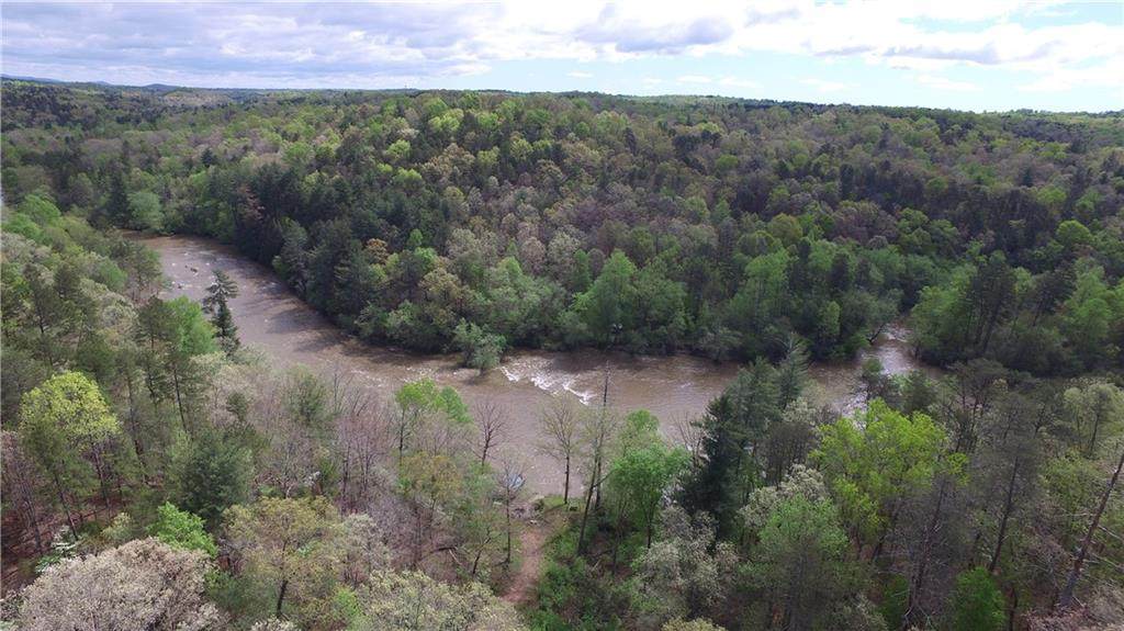 285 Limber Lost Trail - Photo 1