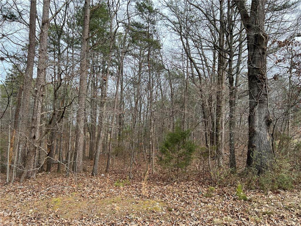 000 Teems Road - Photo 1