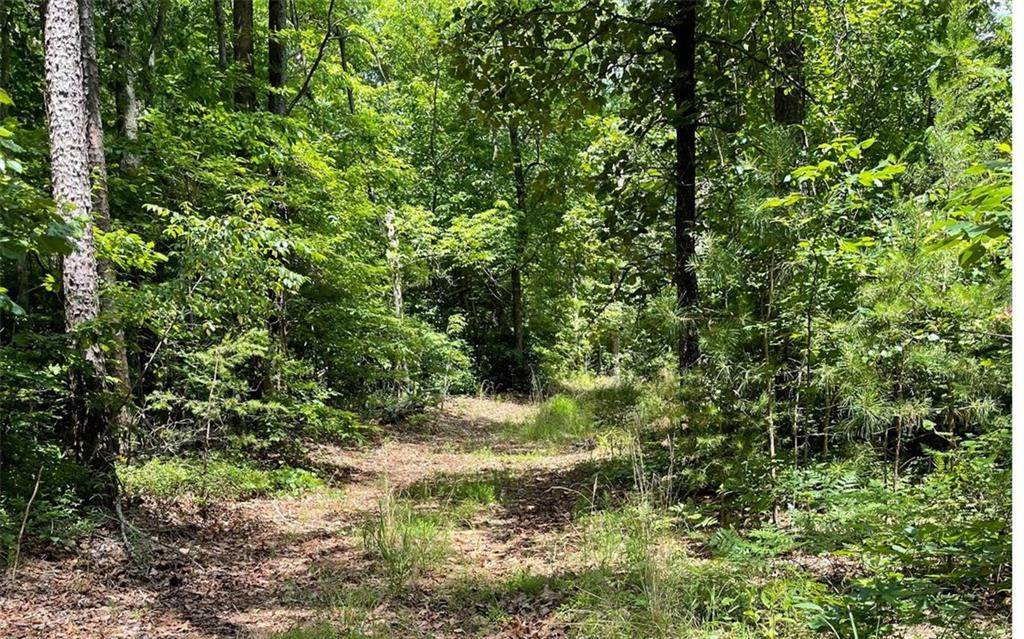 0 Rock Cellar Road - Photo 1