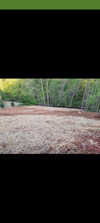 5165 Glen Forrest Drive - Photo 1