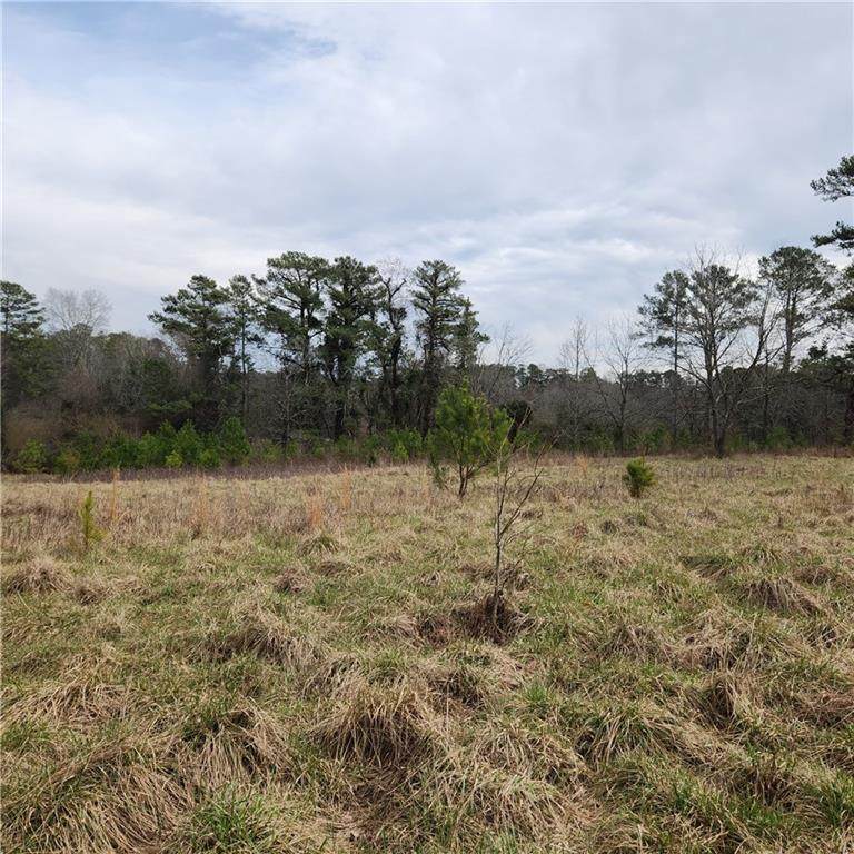 3498 Demooney Road - Photo 1