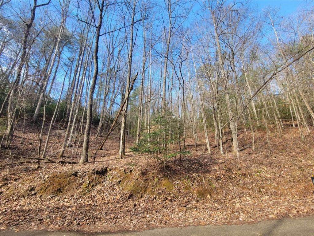 0 Apache Ct Lot 469 - Photo 1