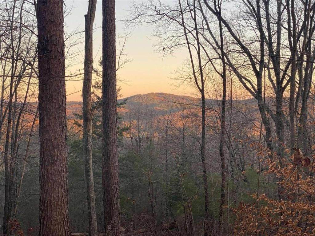 L180 Doll Mountain - Photo 1