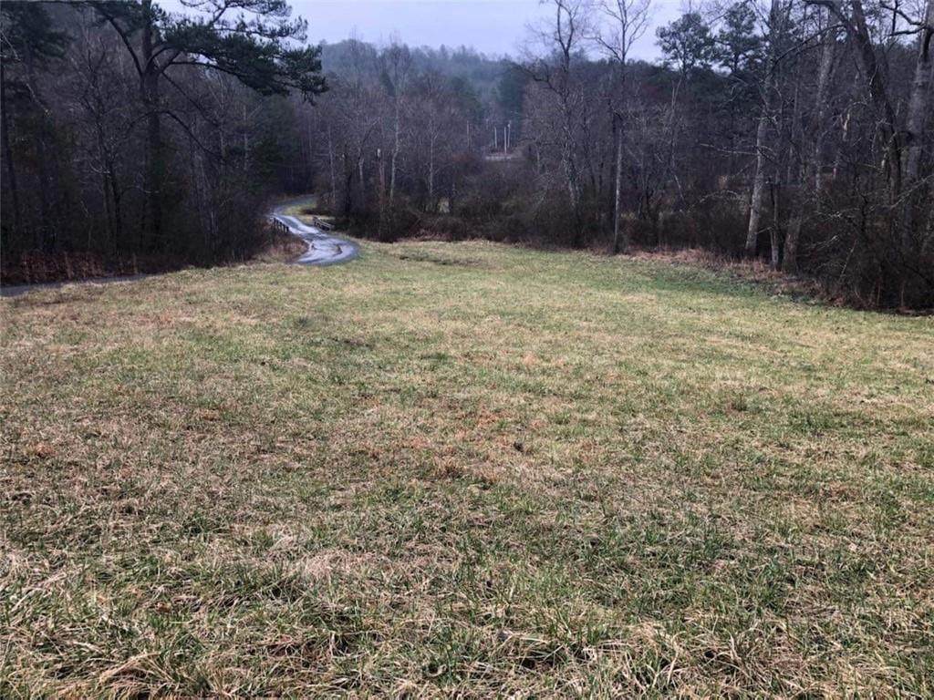 00 Pine Lane - Photo 1