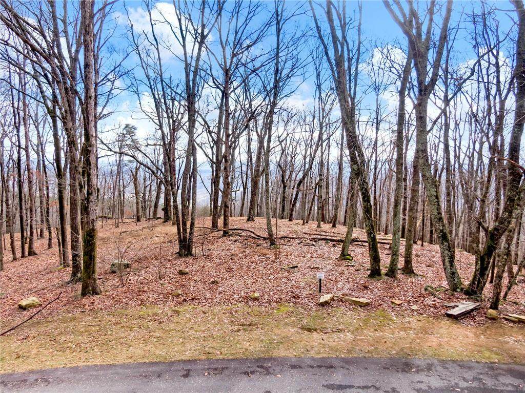 221 Stone Cliff Trace - Photo 1