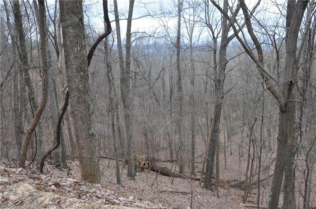 3012 Wild Turkey Bluff - Photo 1