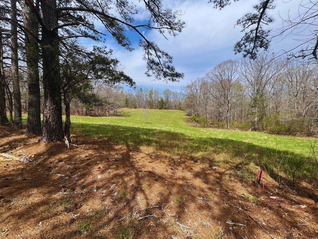 711 Hornage Road, Ball Ground, GA 30107 (MLS 7216162) Path & Post
