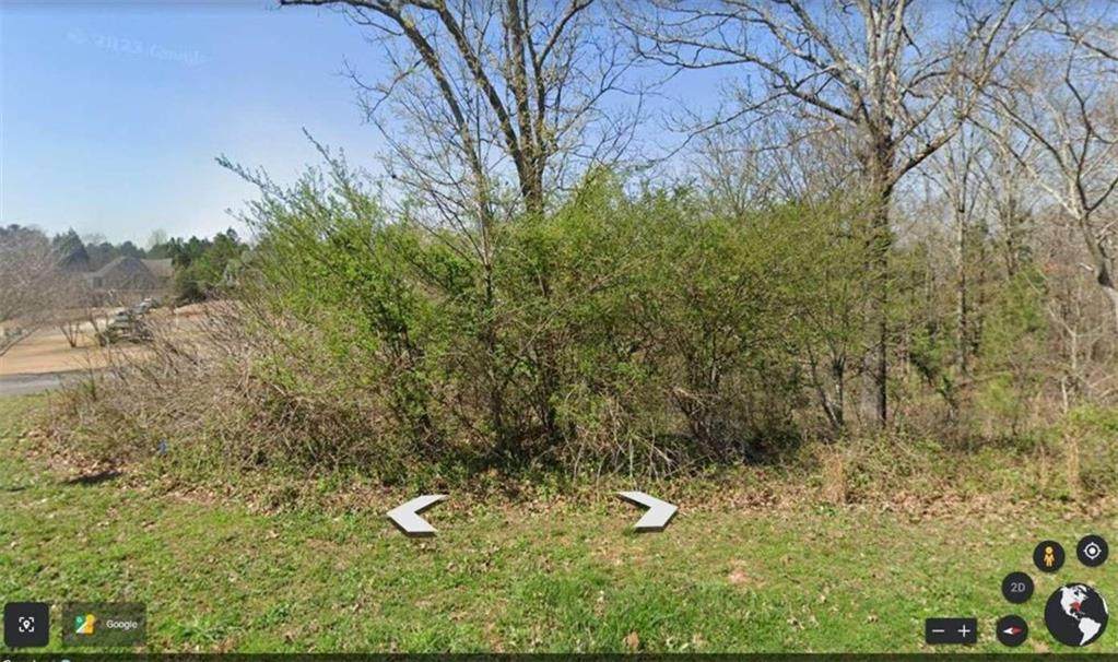 0 Fallen Branch Circle - Photo 1
