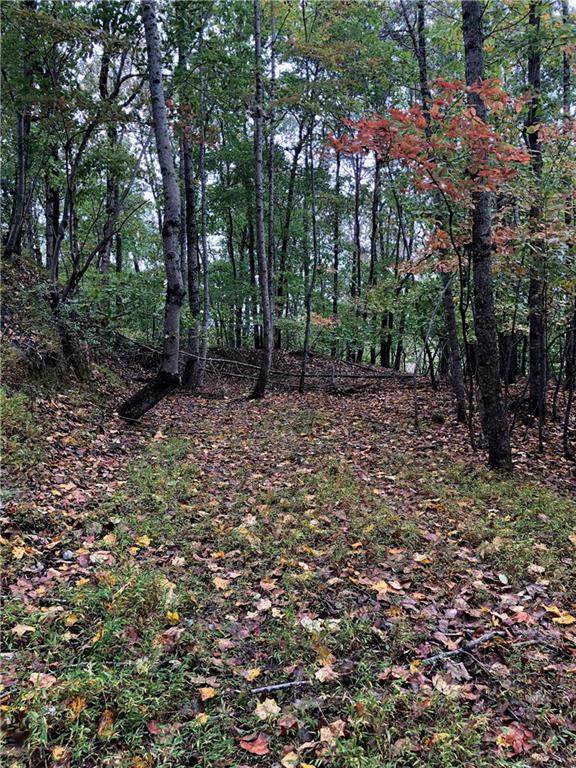 6206 Grant Ford Road - Photo 1