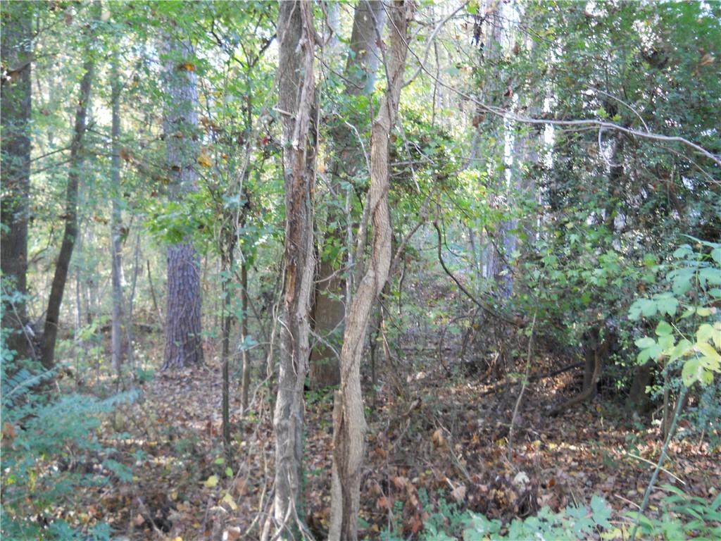 1661 Young Road - Photo 1