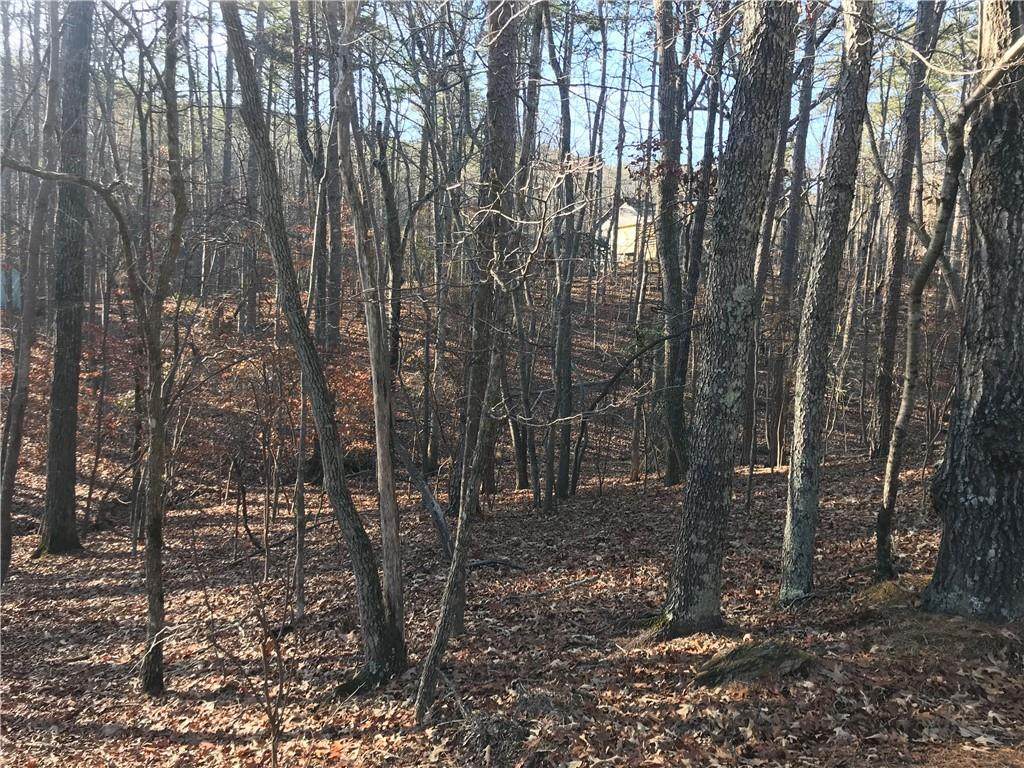114 Lone Bear Drive - Photo 1