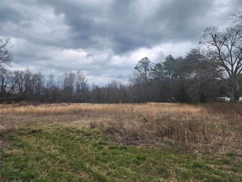 5650 Old Dahlonega Highway - Photo 1