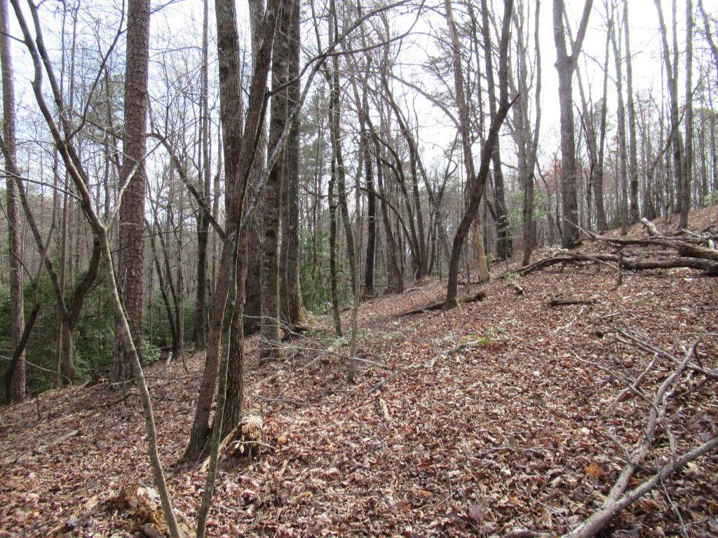 0 Long Branch Road - Photo 1