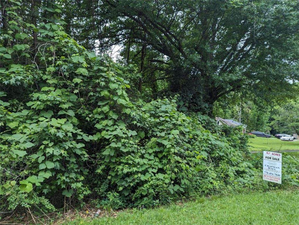 00 Dodson Drive - Photo 1