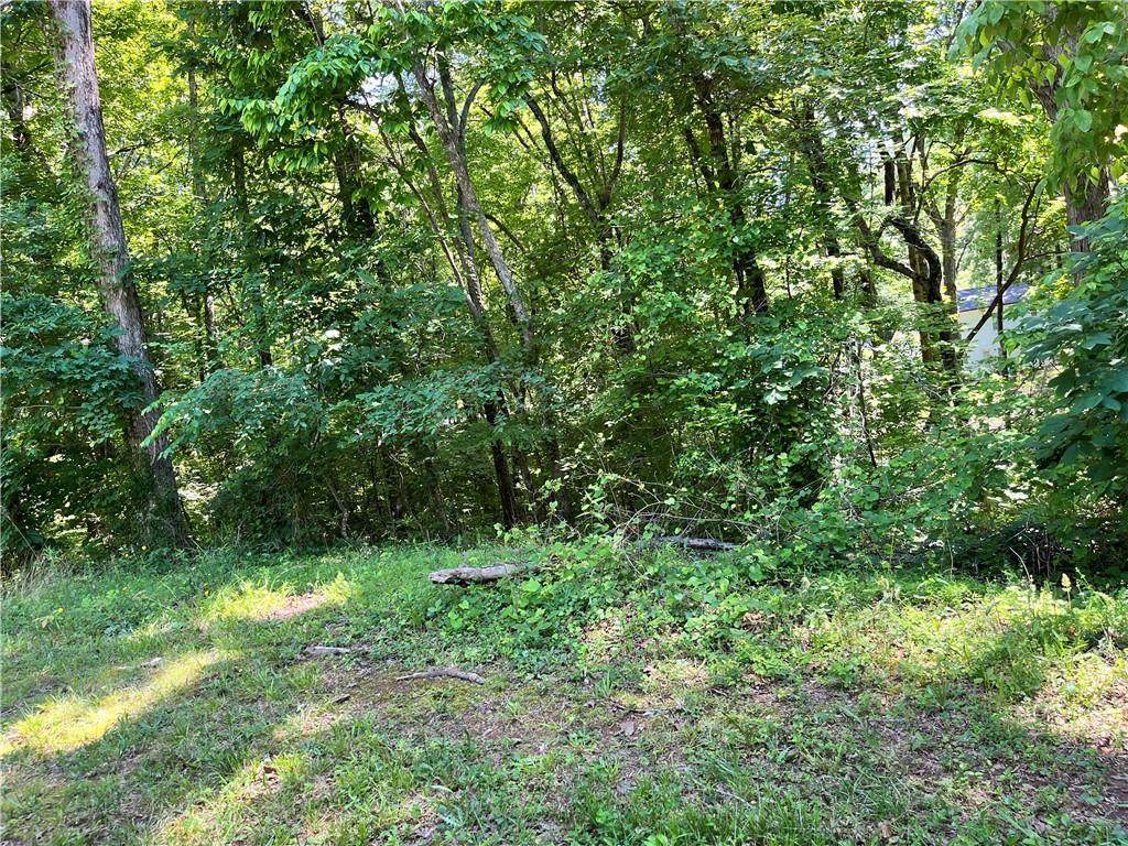 000 Thunder Trail - Photo 1