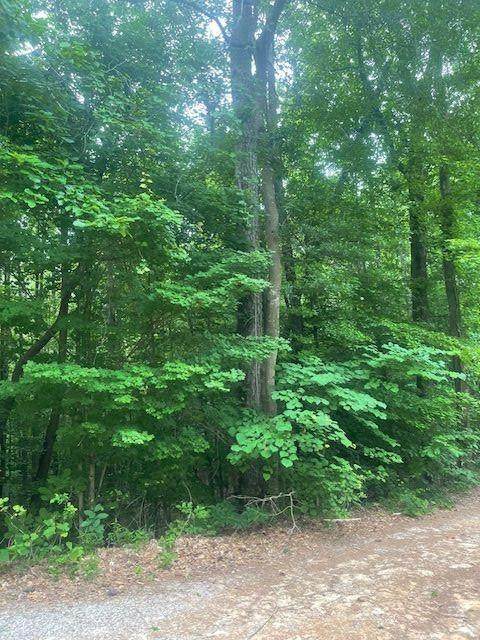 0 Butner Roads - Photo 1