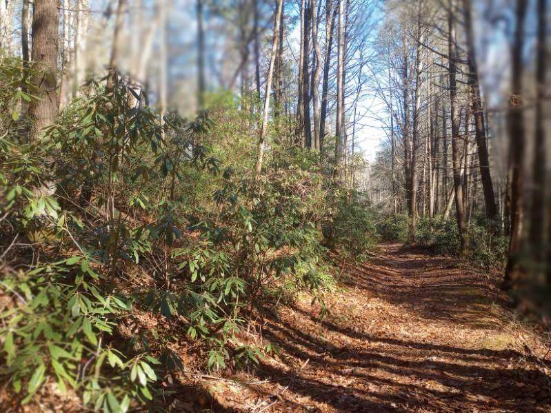 000 Fortenberry Road - Photo 1