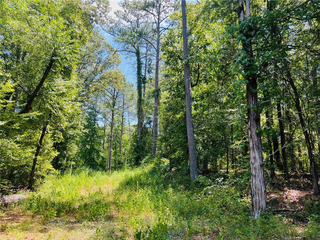 2930 Bonds Lake Road - Photo 1
