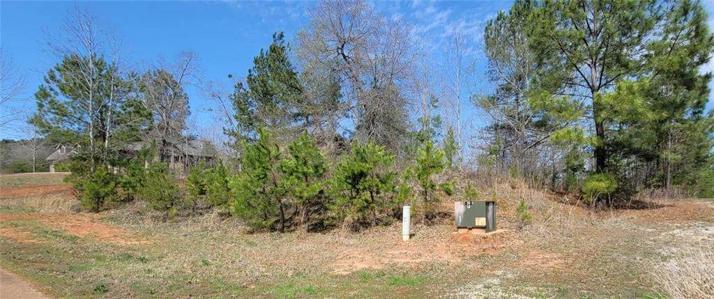 334 Edgewater Trail - Photo 1