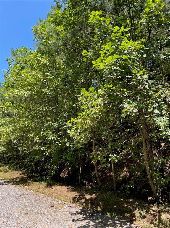 3.98 Acres Whitestone Drive - Photo 1