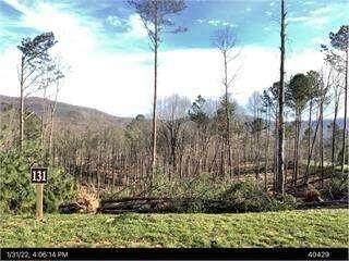 Lot 13 Lot 131 Twisted Oak - Photo 1
