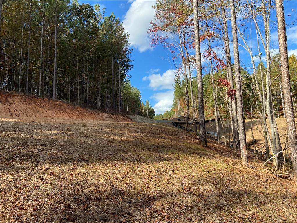 #14 Lone Bear Path - Photo 1