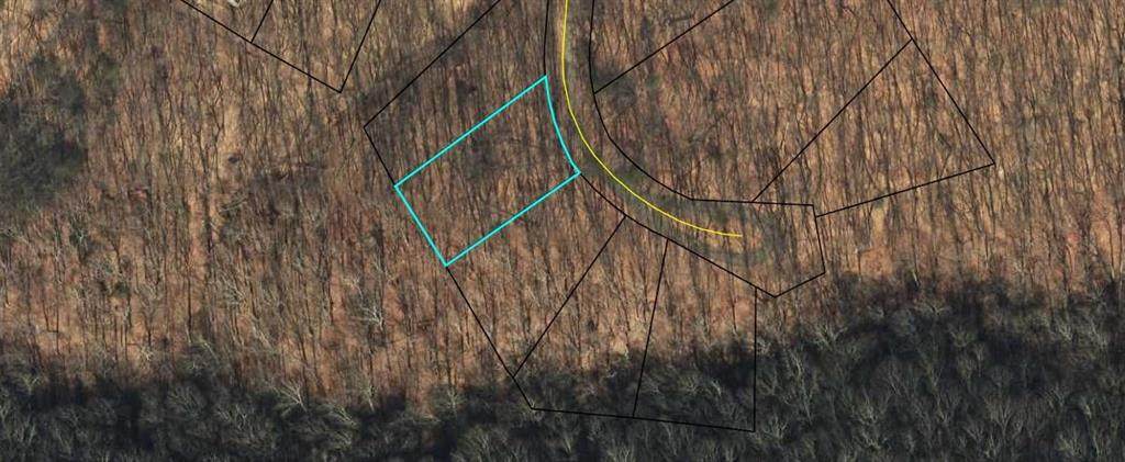 0 Sassafras Mountain Trail - Photo 1