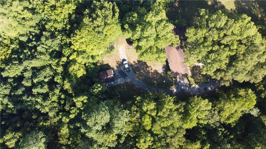 1515 Red Bud Road - Photo 1